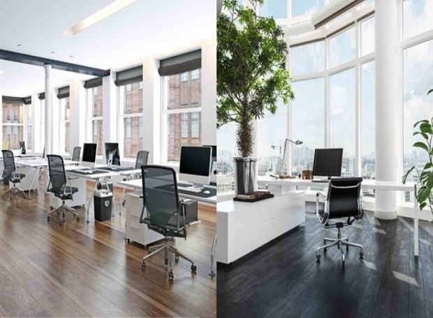 Cách bố trí văn phòng để làm việc hiệu quả hơn