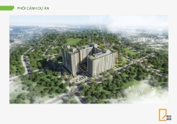 Bảng giá chung cư Ecolife Retreat Bắc Giang - CĐT Capital House